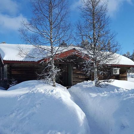 Saelens Bed & Breakfast Apartments Екстер'єр фото